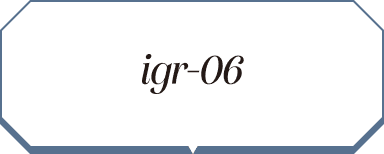 igr-06