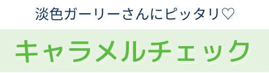 キャラメルチェック
