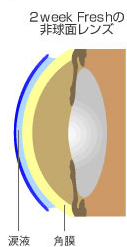 2weeks Freshの非球面レンズ 周辺部の光もしっかり集め、より鮮明にピントを合わせることができる