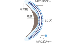 ヒアルロン酸の約2倍の保水力で、乾きにくいレンズ