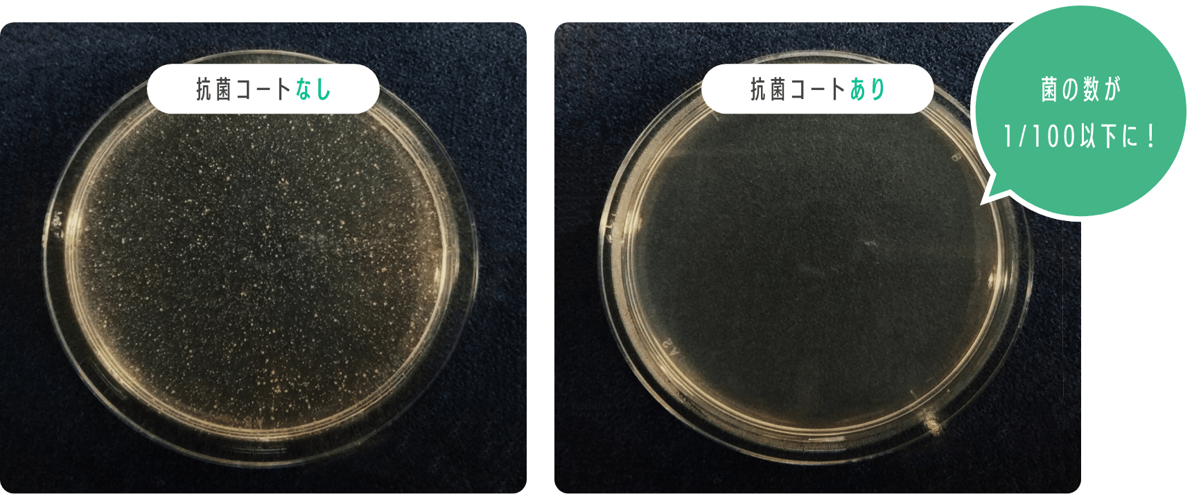 菌の数が1/100以下に！