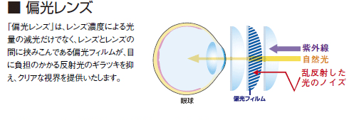 ■偏光レンズ