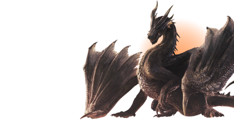 眼鏡市場×「モンスターハンター」シリーズ20周年 コラボメガネ