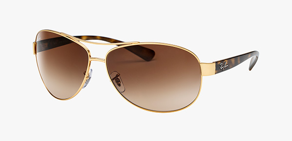 RB3386 Sunglasses in Gunmetal and Brown Gradient Dark Brown