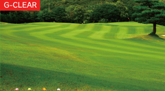 G-CLEAR