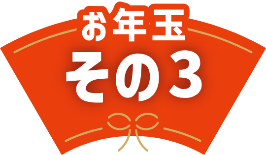 お年玉その3