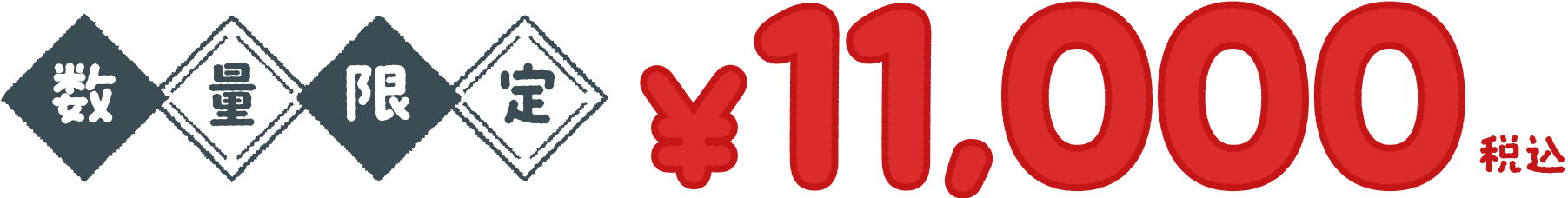 数量限定 ¥11,000税込