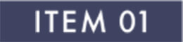 item 01