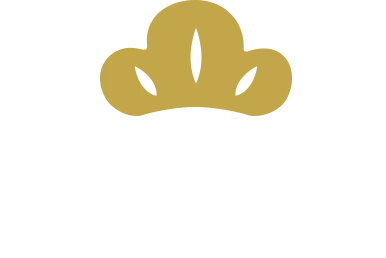 TV CM