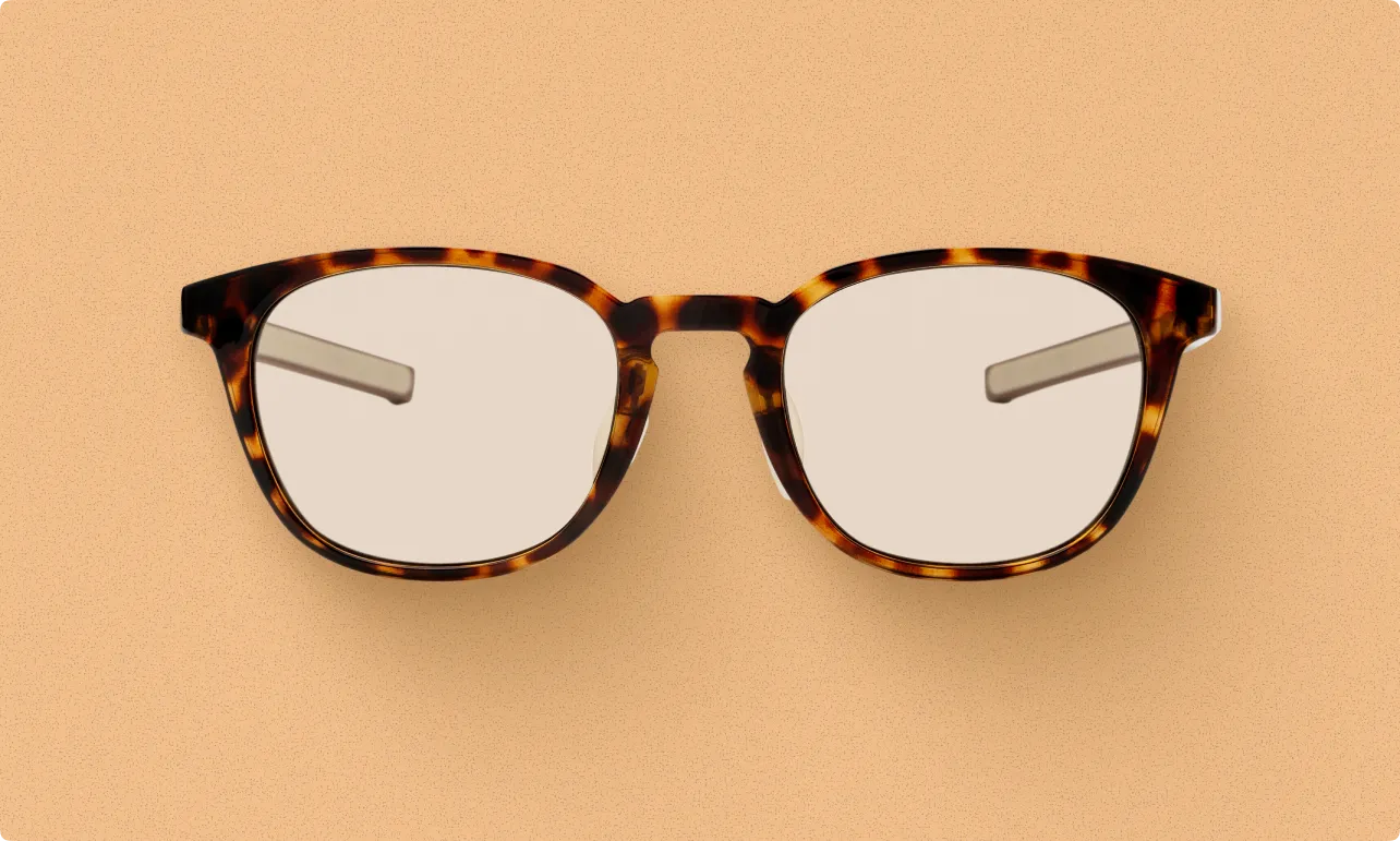 MEGANE ICHIBA UV MUV-M001 DMBR