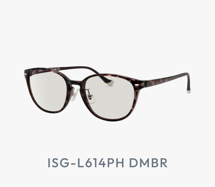 ISGL614_DMBR