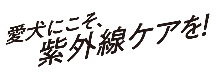愛犬にこそ、紫外線ケアを！