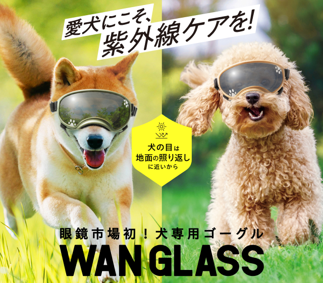 WANGLASS