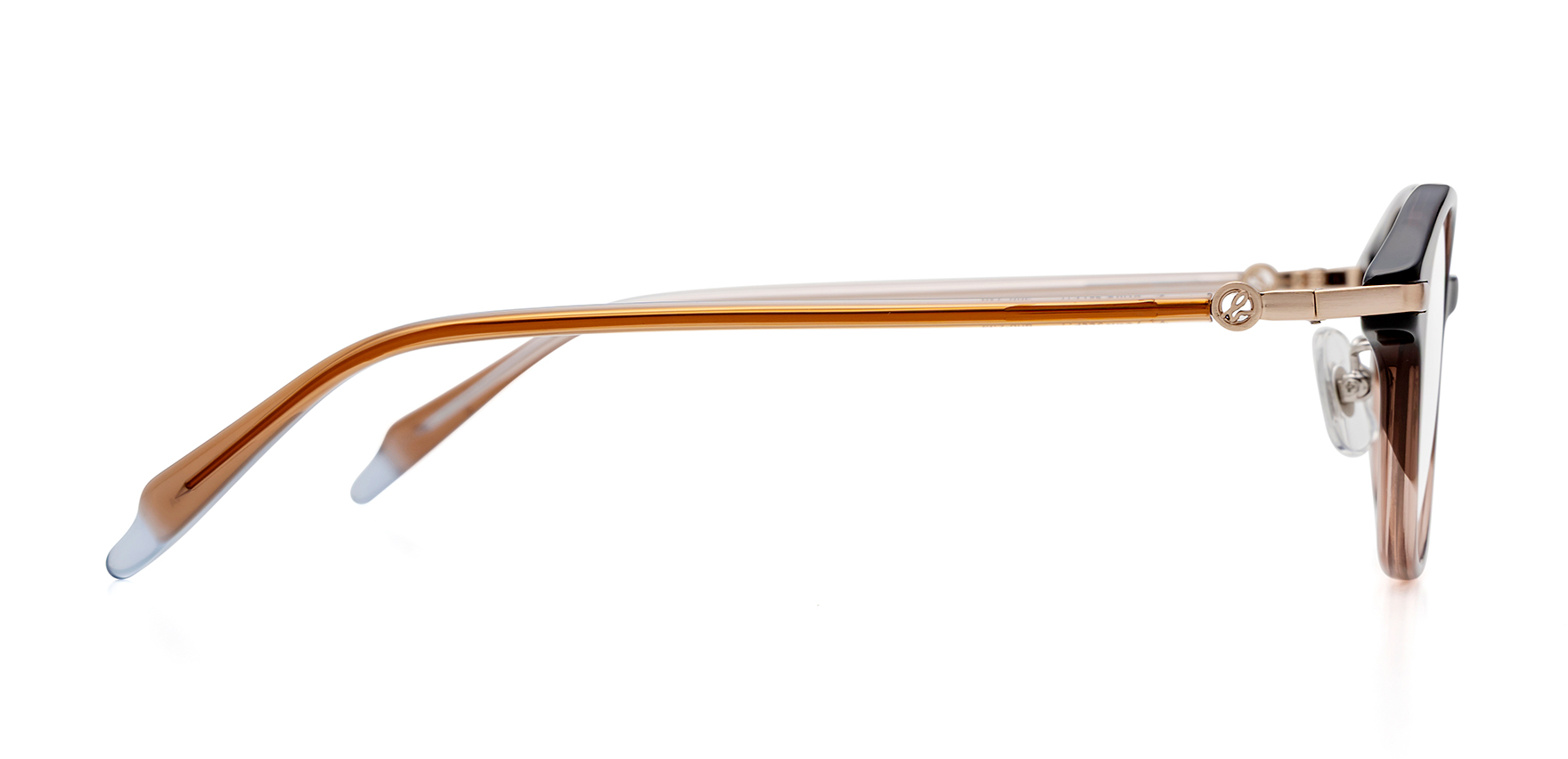 agnes b anb-239 ブラウングラデーション 50